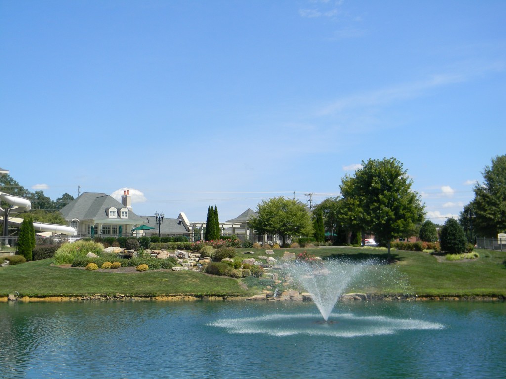 Cureton Pond and Amenities