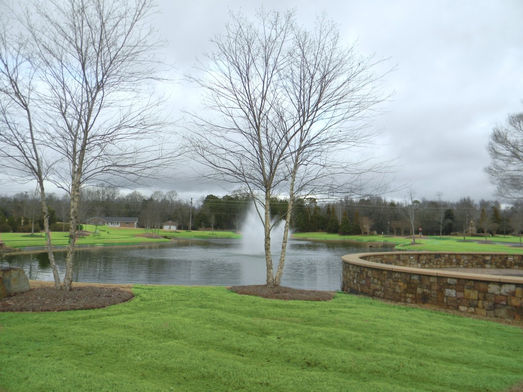 The Chimneys of Marvin Charlotte Home Seeker