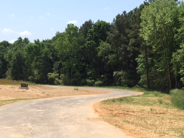 Brookmeade