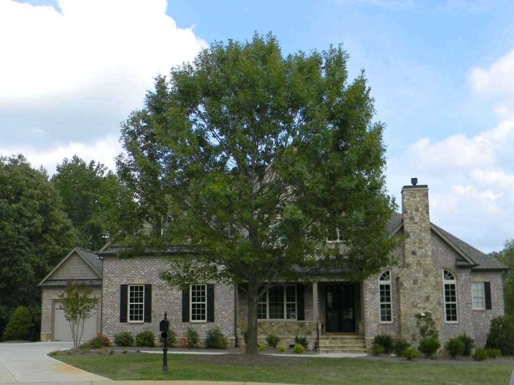 Neighborhood Homes