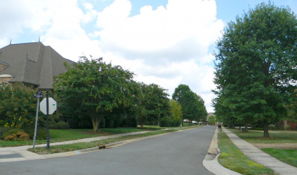 Neighborhood Street