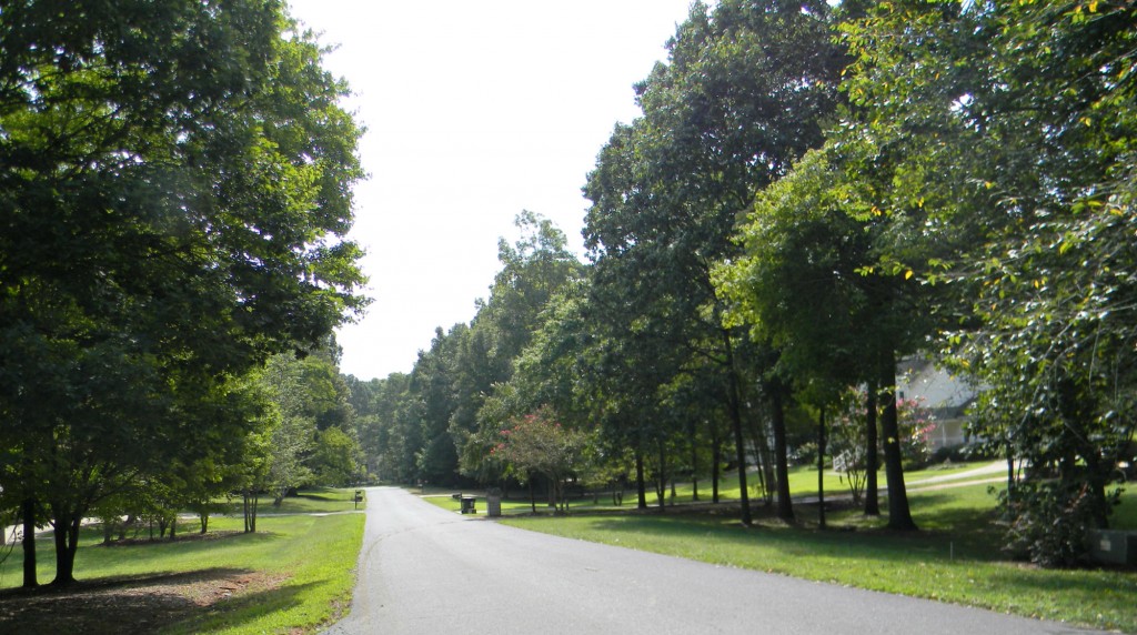 Wedgewood Street View