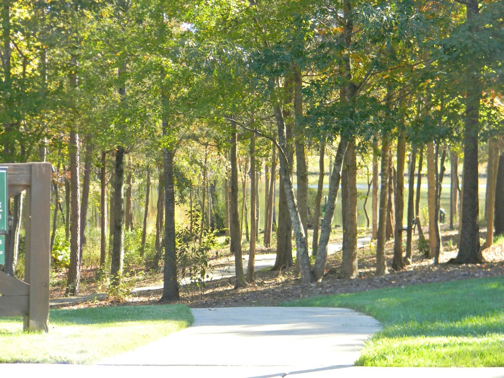 Walking Trail to Pond