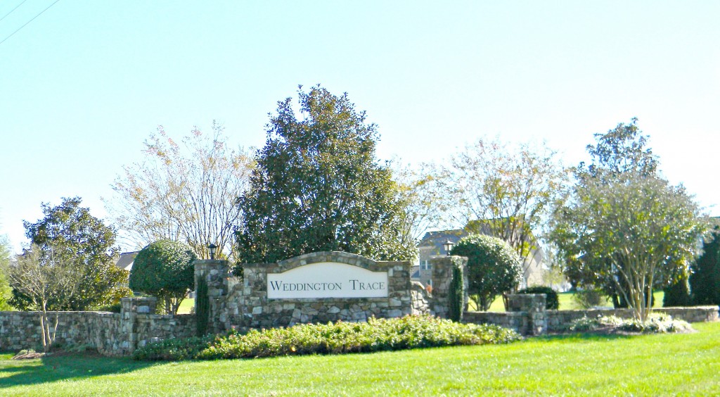 Weddington Trace (1)
