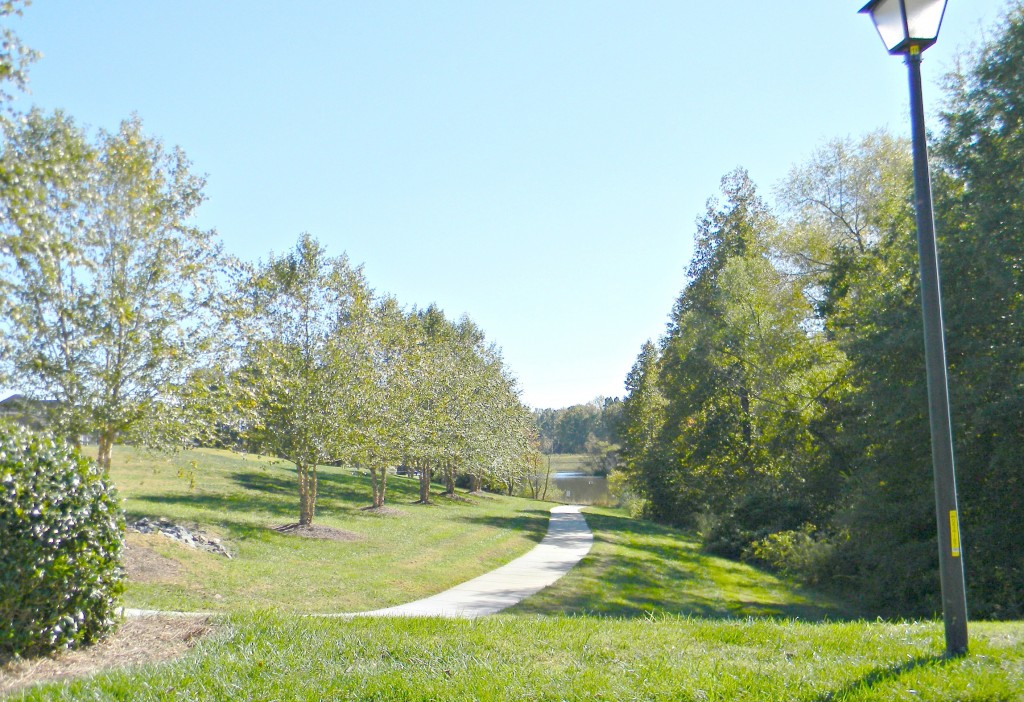 Weddington Trace (13)