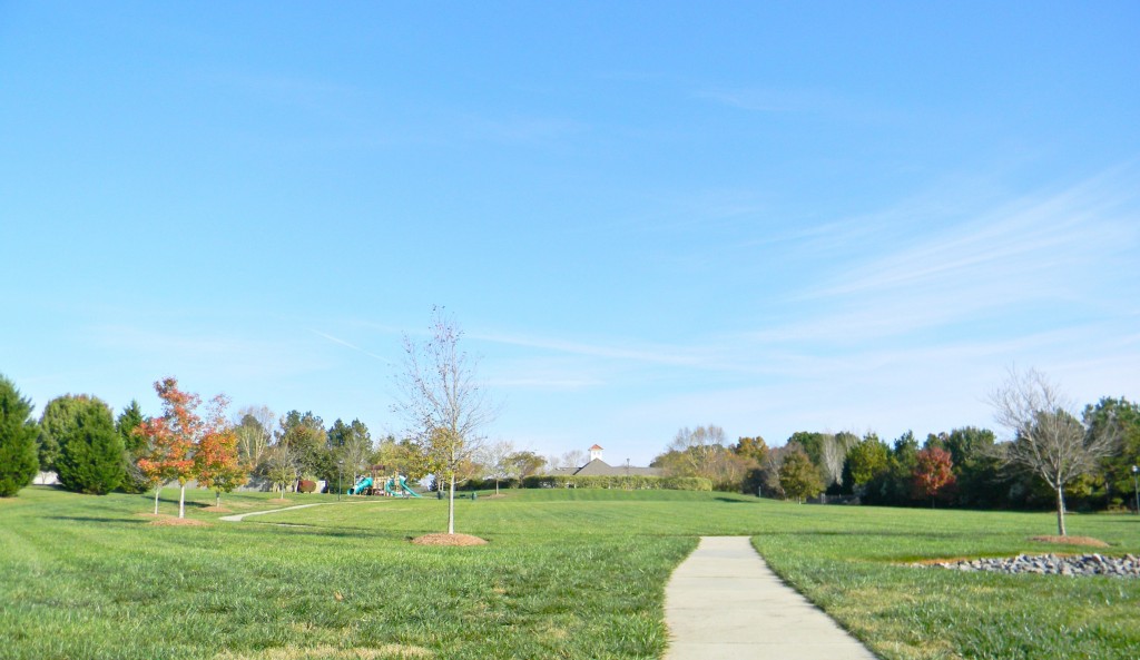 Neighborhood Field behind Amenity Center