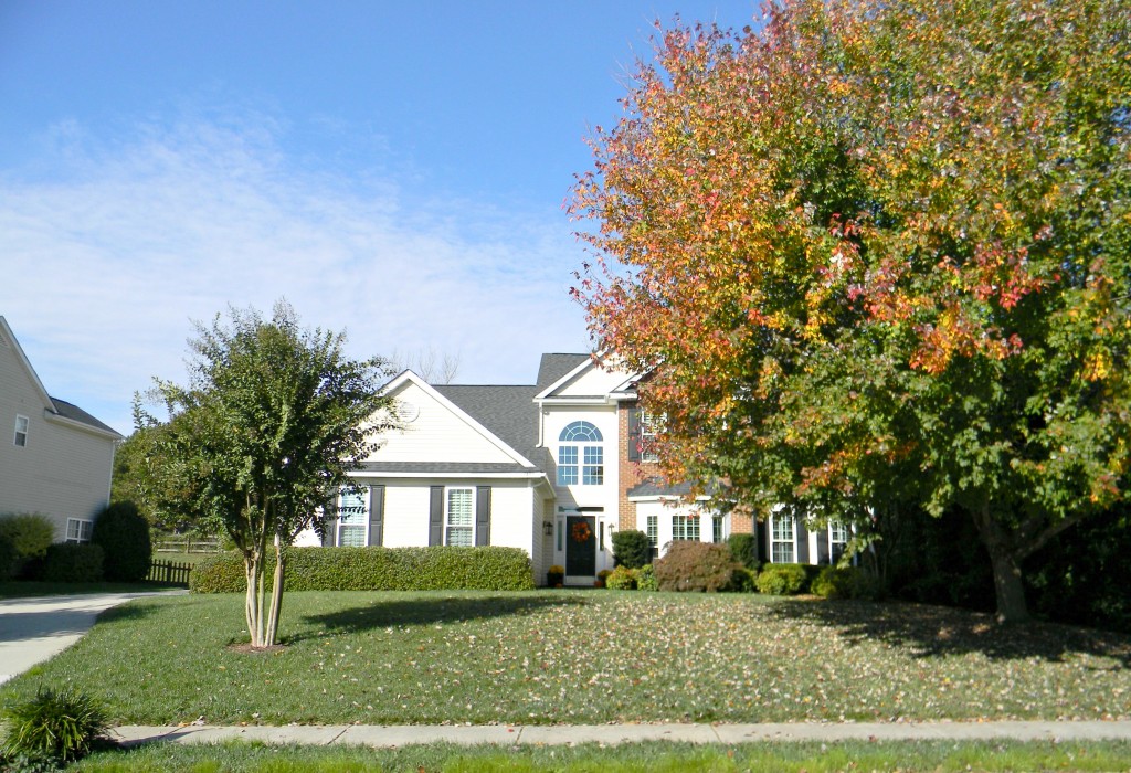 Neighborhood Homes