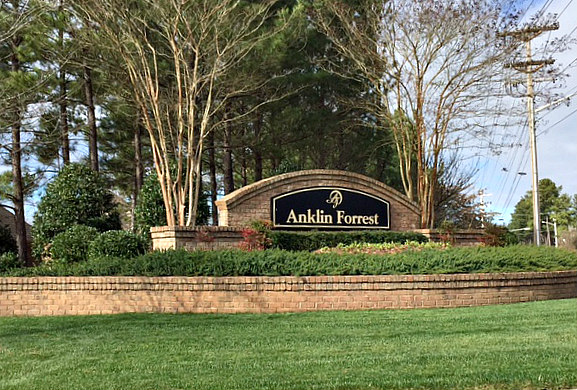 Anklin Forrest Entry