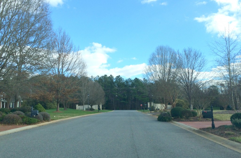 Established Weddington Neighborhoods