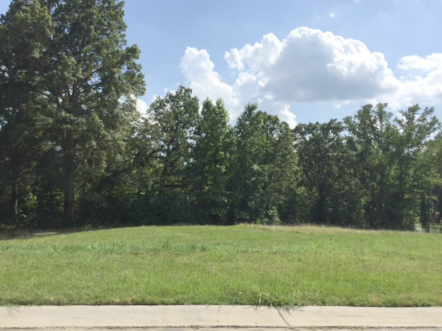 Meadows at Weddington
