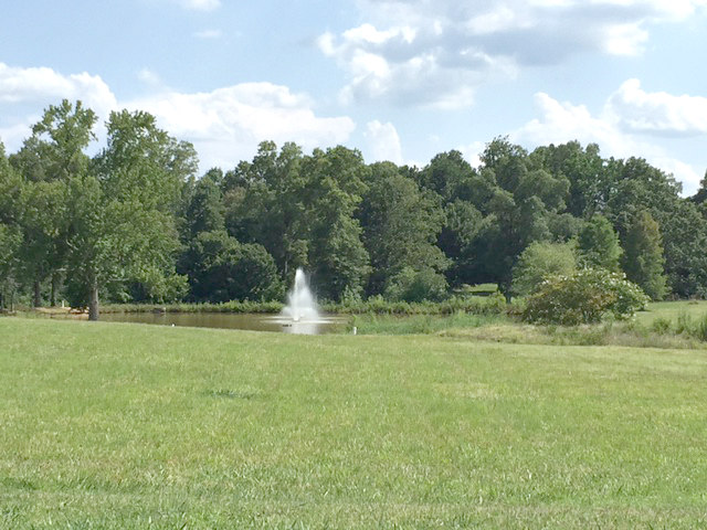 Meadows at Weddington
