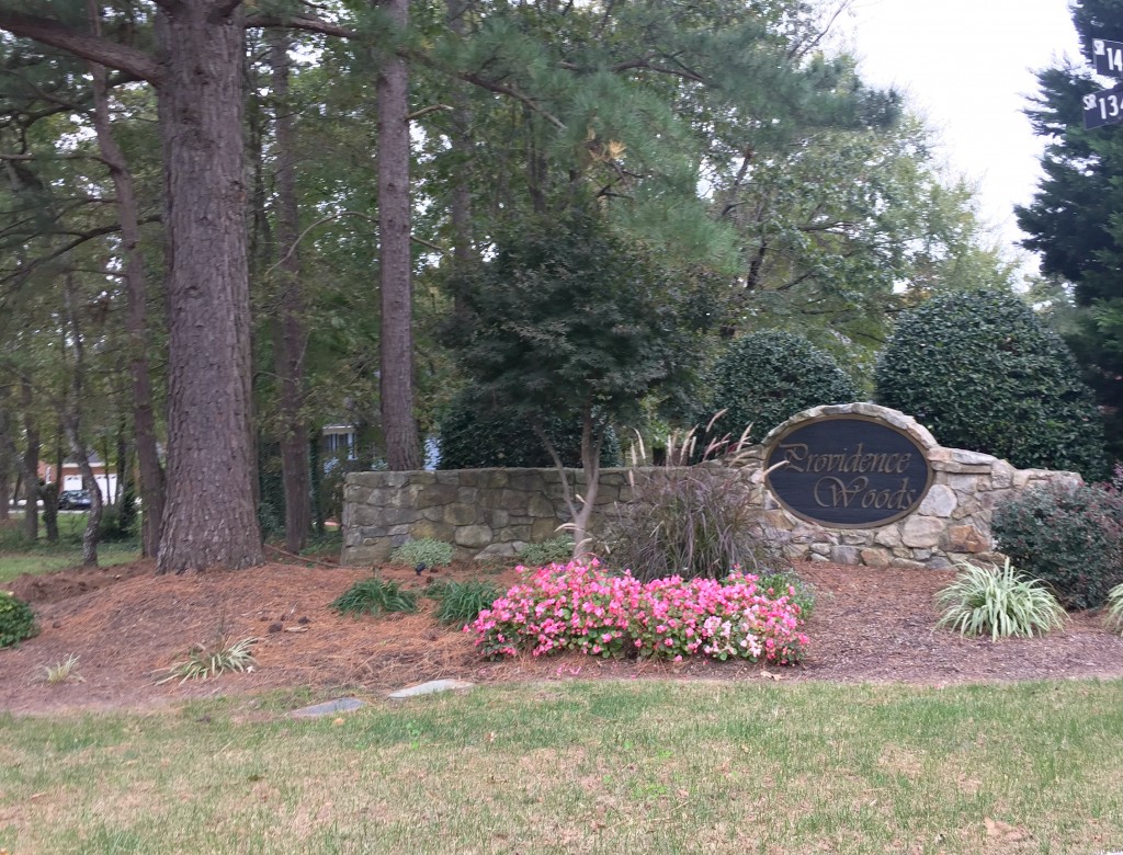 Providence Woods Weddington